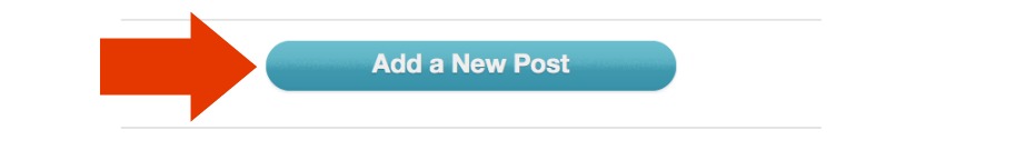Add a New Post button