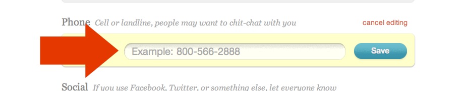 Phone number field