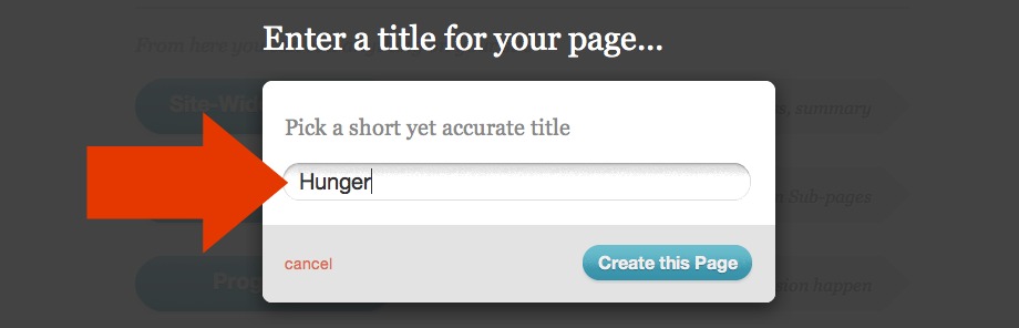 Page Title field
