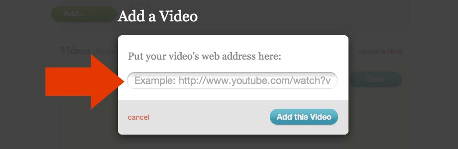 Web Address field for video