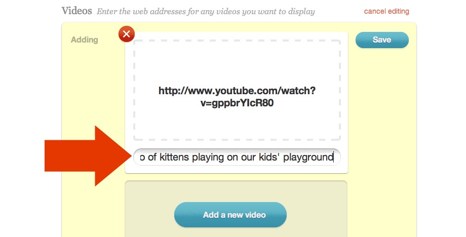 Description field for video