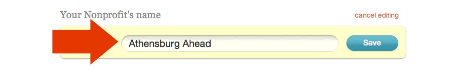 Field to type in Your Nonprofit's Name