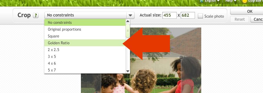 Picnick.com Golden Ration crop option