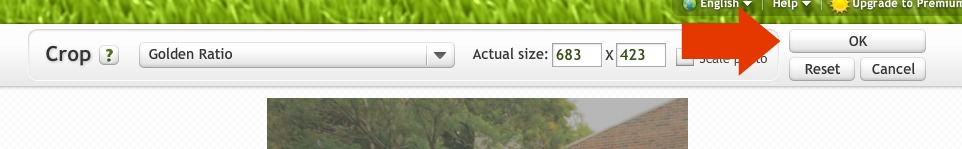 Picnick.com OK button
