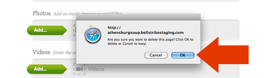 Confirm delete program