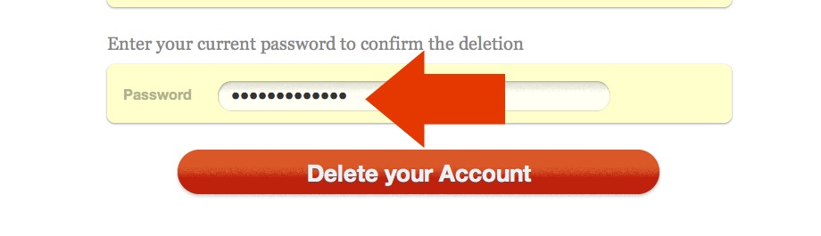 Password field