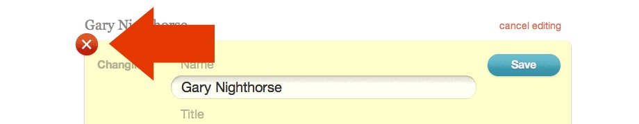 Delete button on Team Member section