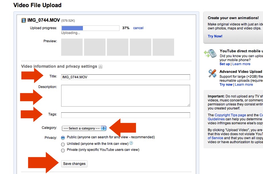 YouTube video description fields